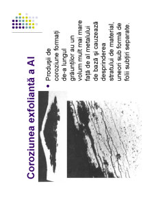 Coroziune și Protecție Anticorozivă - Pagina 12