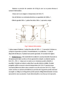 Determinarea densității și porozității materialelor refractare - Pagina 3