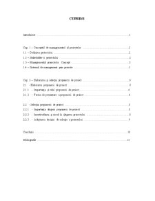 Managementul proiectelor - Elaborarea și selecția - Pagina 1
