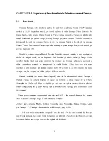 Fundamentarea și realizarea cheltuielilor la Primăria Comunei Farcașa, județul Neamț - Pagina 3
