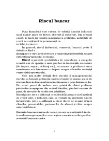Riscul valutar - Pagina 3