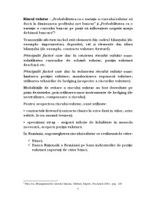 Riscul valutar - Pagina 5