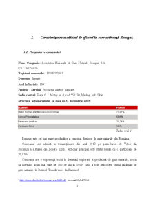 Analiza financiară a companiei Romgaz SA - Pagina 2