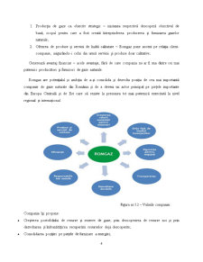 Analiza financiară a companiei Romgaz SA - Pagina 4