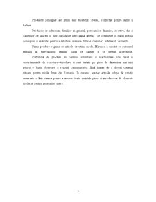 Descrierea unei Firme Producatoare de Textile - Firma SC Carpatex SA Brasov - Pagina 3