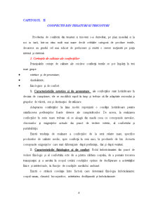Descrierea unei Firme Producatoare de Textile - Firma SC Carpatex SA Brasov - Pagina 4