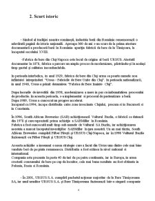 Analiza Merceologica a Berii Ursus Premium - Pagina 4