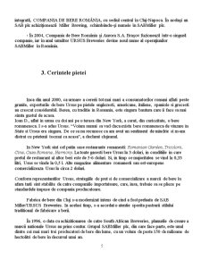 Analiza Merceologica a Berii Ursus Premium - Pagina 5
