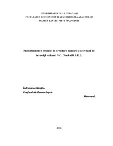 Fundamentarea deciziei de creditare bancară a activității de investiții a firmei SC Garibaldi SRL - Pagina 1