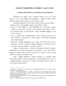 Fundamentarea deciziei de creditare bancară a activității de investiții a firmei SC Garibaldi SRL - Pagina 3