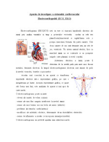 Aparate de investigare a sistemului cardiovascular electrocardiograful (ECG, EKG) - Pagina 1