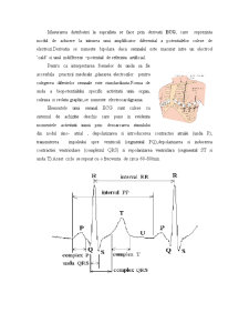 Aparate de investigare a sistemului cardiovascular electrocardiograful (ECG, EKG) - Pagina 2