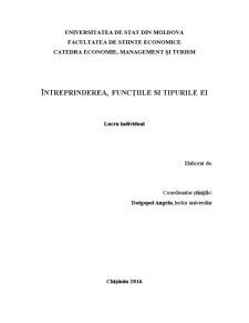 Intreprinderea, funcțiile și tipurile ei - Pagina 1