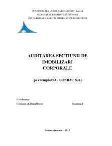 Auditul financiar al situațiilor financiare la SC Conbac SA - Pagina 1