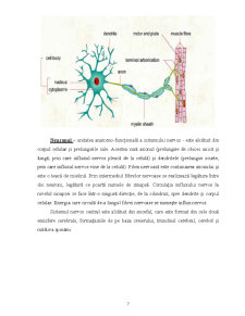 Accidentul Vascular Cerebral - Pagina 5
