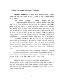 Practică Primăria Comunei Cosminele - Pagina 2