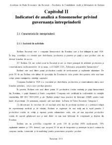 Modele și practici de guvernanță a întreprinderilor romanești - Pagina 5