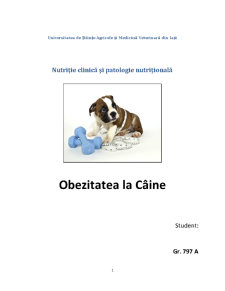 Obezitatea la câine - clinica nutriție - Pagina 1