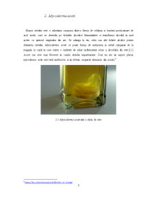 Microbiologia oțetului - Pagina 4