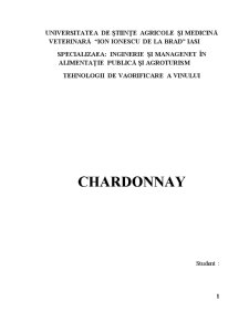 Chardonnay - Pagina 1