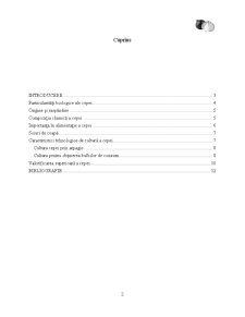 Obținerea și valorificarea cepei în sistem ecologic - Pagina 2