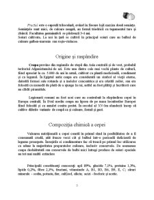 Obținerea și valorificarea cepei în sistem ecologic - Pagina 5