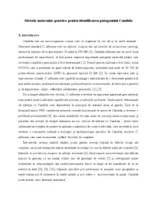 Metode molecular-genetice pentru identificarea patogenului Candidă - Pagina 1