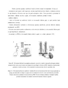 Metode molecular-genetice pentru identificarea patogenului Candidă - Pagina 4