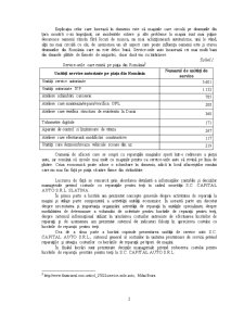 Informațiile contabile și deciziile privind costurile cu reparațiile pentru terți la SC Capital Auto SRL - Pagina 3