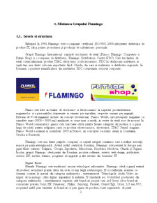 Plan de Marketing Flamingo - Pagina 3