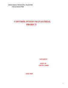 Control intern managerial - Pagina 1