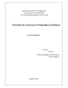 Formele de salarizare în Republica Moldova - Pagina 1