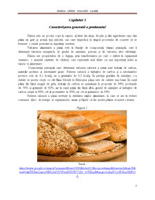 Analiza calității senzoriale a pâinii - Pagina 3
