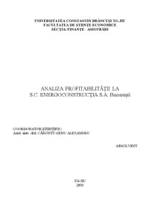 Analiza profitabilității la SC EnergCconstructia SA București - Pagina 2