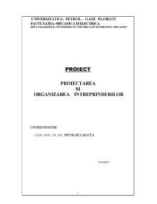 Proiectarea și organizarea întreprinderilor - Pagina 1