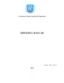 Sistemul bancar - Pagina 1