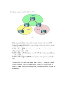 Rețea cu protocol OSPF - Pagina 3