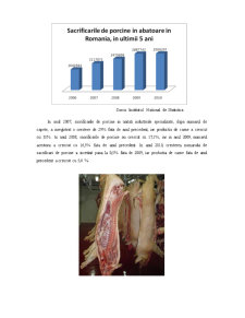 Piața carnii din România - Pagina 4