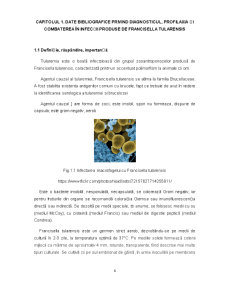 Tularemia - Pagina 3