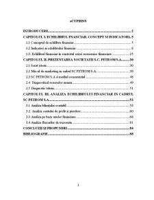 Analiza echilibrului financiar în cadrul SC Petrom - Pagina 1