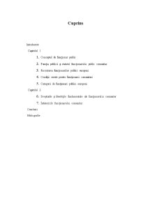 Statutul funcționarilor publici în Uniunii Europene - Pagina 1