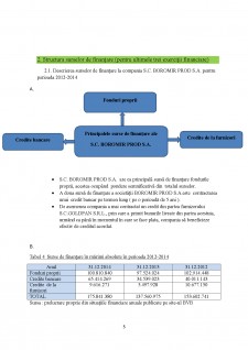 Analiza surselor de finanțare ale întreprinderii SC Boromir Prod SA - Pagina 5