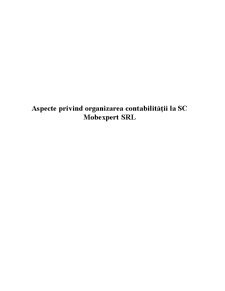 Aspecte privind organizarea contabilității la SC Mobexpert SRL - Pagina 2