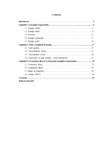 Modele de afaceri sustenabile - Pagina 1