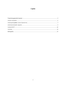 Analiza resurselor, strategiilor și a ramurilor de activitate ale Spaniei - Pagina 2