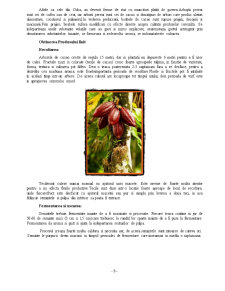 Tehnologia de fabricare a ciocolatei și a pudrei de cacao - Pagina 5