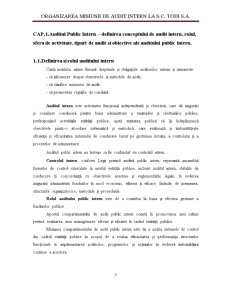 Organizarea misiunii de audit intern la SC Todi SA - Pagina 2