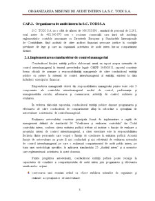 Organizarea misiunii de audit intern la SC Todi SA - Pagina 5