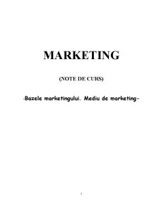 Bazele Marketingului. Mediu de Marketing - Pagina 1