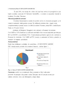 Analiza financiară a firmei SC Exclusive Garden SRL - Pagina 3